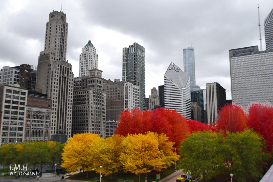 Chicago in Fall, Buildings, Trees, Cityscape, Skyline, Autumn, Foliage