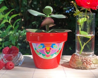 Flower pot, Pot cover, Planter for small plants