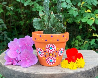 Flower pot, cactus pot cover & succulents