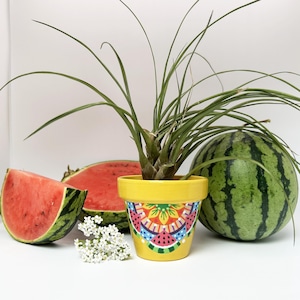 Flower pot, planter, planter for small indoor plants