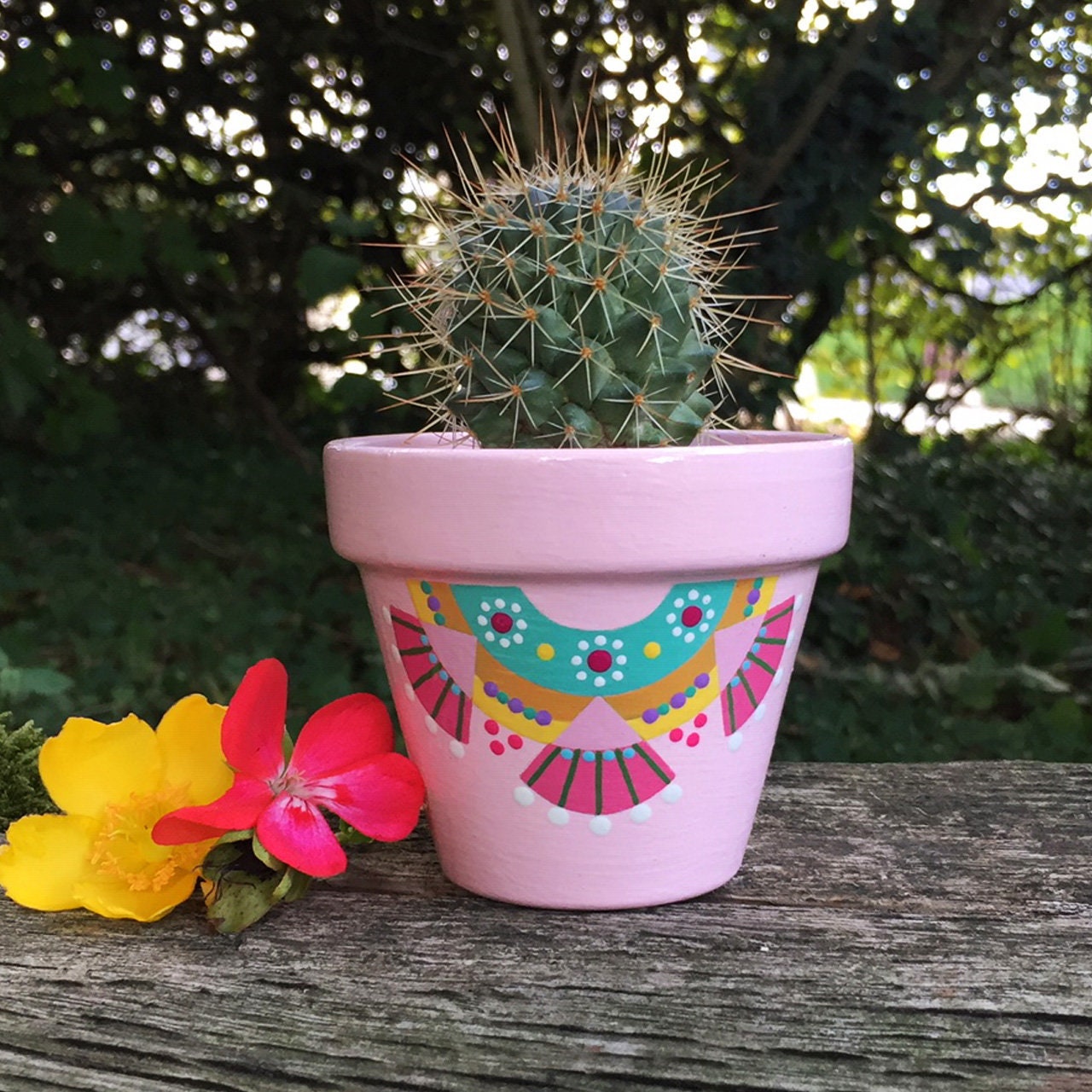 Pot de Fleurs, Cache-Pot, Jardinière Cactus