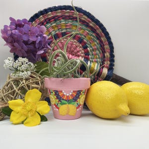 Flower pot, planter, planter for small indoor plants
