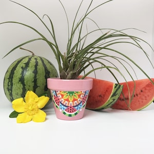 Flower pot, planter for small indoor plants