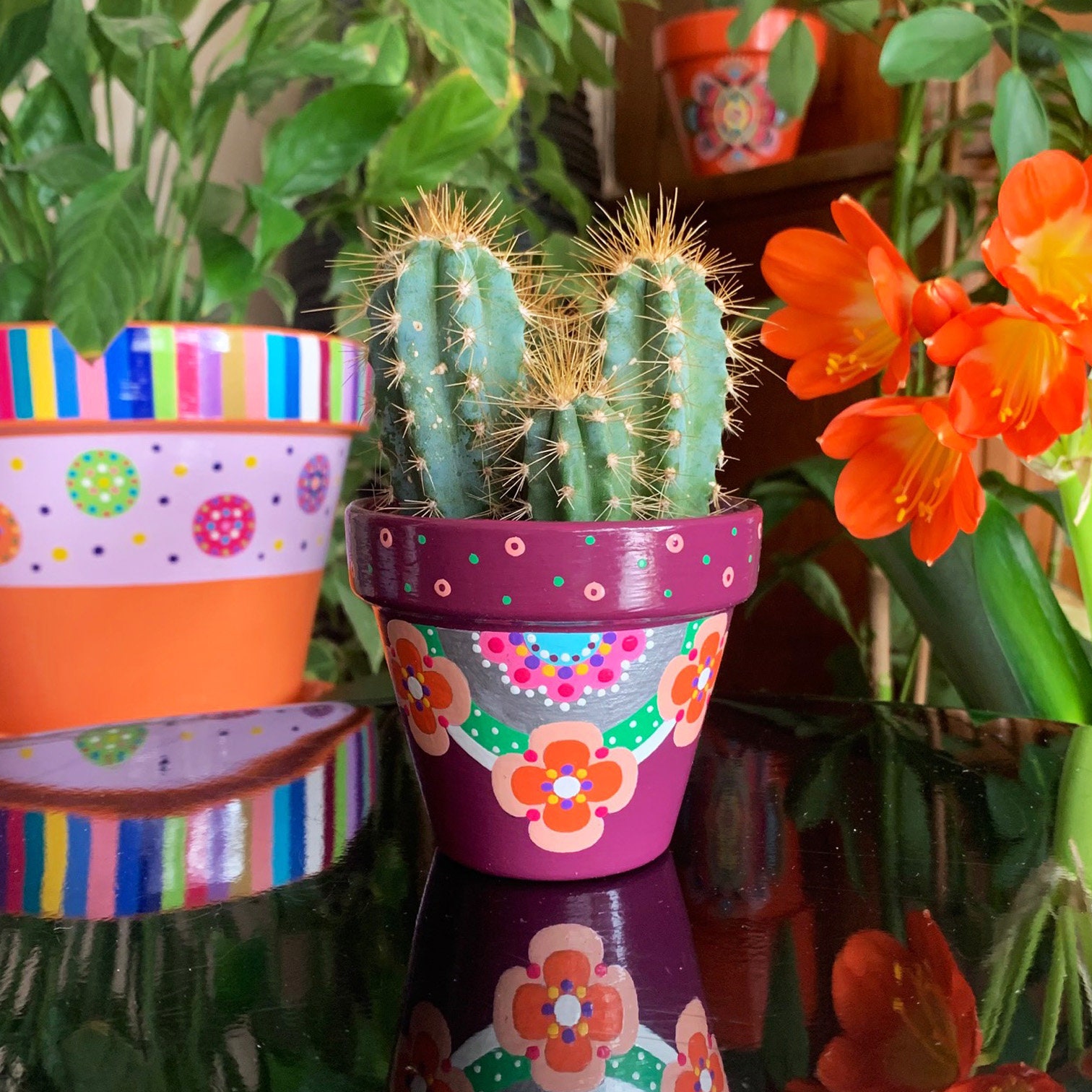 Pot de Fleurs, Cache-Pot, Jardinière Cactus