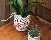 Porcelain Orchid Pots