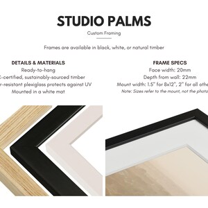 May include: Image showcasing custom framing options from Studio Palms. Frames are available in black, white, or natural timber. Details include ready-to-hang, FSC-certified timber, shatter-resistant plexiglass, and a white mat. Frame specs: 20mm face width, 22mm depth.