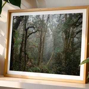 WALDDRUCK - Moos Wand Kunst groß, Regenwald Wand Kunst, Neuseeland Druck, übergroße gerahmte Wandkunst, grüne Natur Landschaft Plakat, Neuseeland