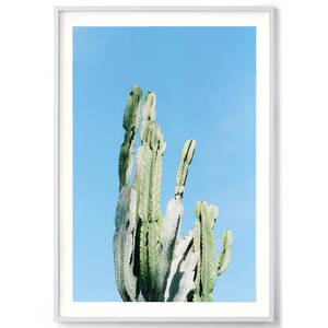 Gerahmter Kunstdruck Fotografie KAKTEEN Druck - Mexikanische Wand Kunst, Wüste Foto, Südwestern Dekoration, Minimalistisches Poster, Film Fotoabzug