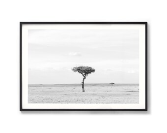 South Africa Print - Acacia Tree Photography, Black and White African Tree Photo, Extra Large Framed Wall Art