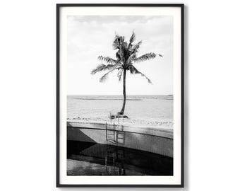 Palm Tree Print - Black and White Coastal Photography, Ocean Photo, Extra Large Framed Wall Art