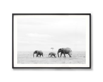 Elephant Photography - Extra Large Framed Black and White Print