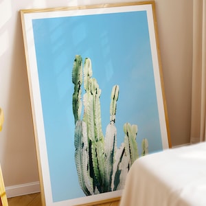KAKTUS DRUCK - Gerahmte Fine Art Fotografie, Mexikanische Wandkunst, Wüste Foto, Fotodruck, Filmdekor, minimalistisches Poster