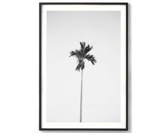 Black and White Palm Tree Print - Minimalist Coastal Photography, Extra Large Framed Photo