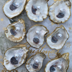 Oysters Shell Table Setting Oyster Shell Plates Oyster Shell Placing