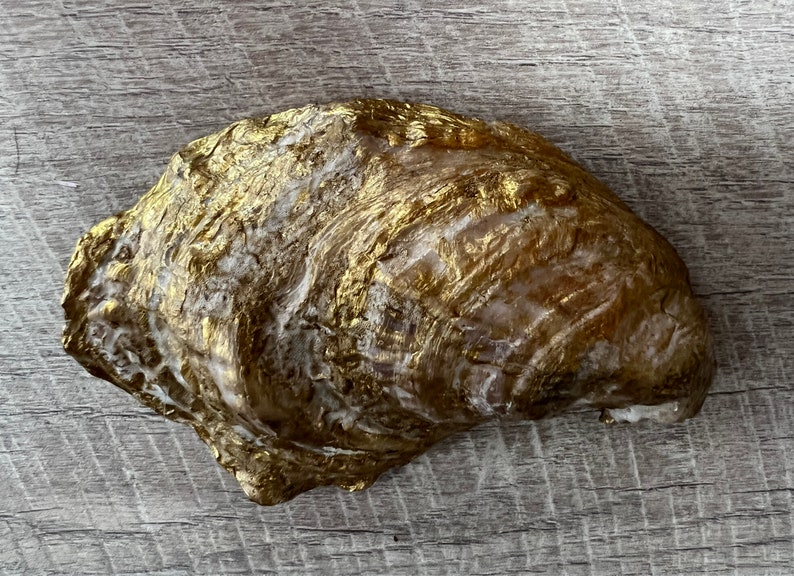 May include: A large, golden oyster shell with a rough, textured surface. The shell has a natural, organic shape and is painted in a metallic gold color.