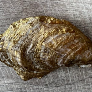 May include: A large, golden oyster shell with a rough, textured surface. The shell has a natural, organic shape and is painted in a metallic gold color.