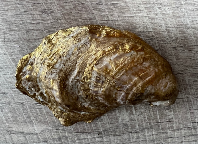 May include: A large, golden oyster shell with a rough, textured surface. The shell has a natural, organic shape and is painted in a metallic gold color.