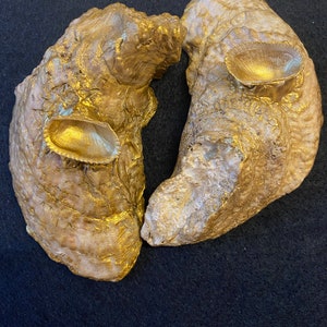 May include: Two golden, organic, freeform shapes with a textured surface. Each shape has a small, golden, circular indentation.