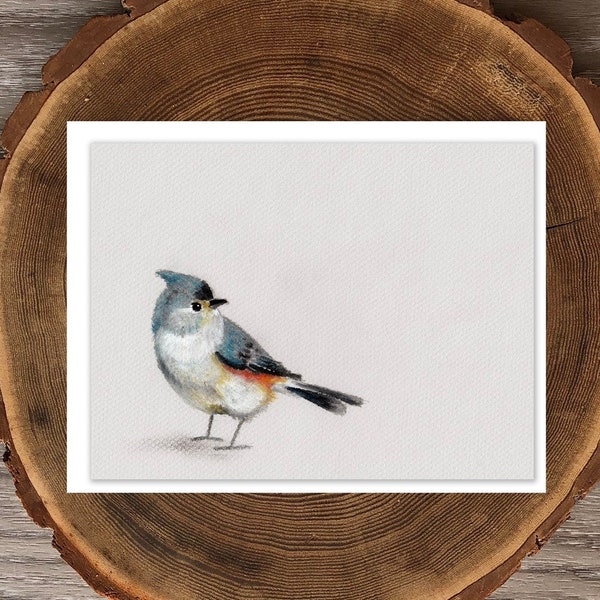 Tufted Titmouse blank greeting card