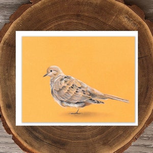 Rouwduif wenskaart | Vogel blanco wenskaart | Duif stationair | Gastvrouw cadeau | Duif verjaardagskaart | Duif kaart