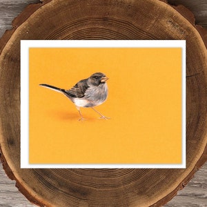 May include: A watercolor print of a small bird with gray and brown feathers, perched on a yellow background. The bird is facing right, with its beak slightly open. The print is set on a white border.