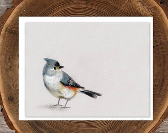 Tufted Titmouse blank greeting card
