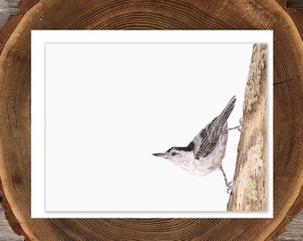 White-breasted Nuthatch blank greeting card