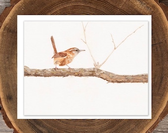 Carolina Wren blank greeting card