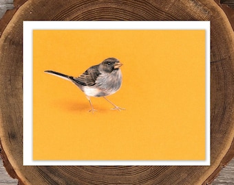 Dark-eyed Junco blank greeting card