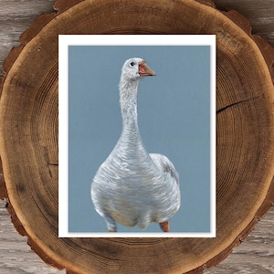 Tarjeta de felicitación en blanco de Mother Goose blanca
