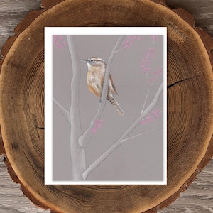 Carolina Wren with Eastern Redbud blank greeting card
