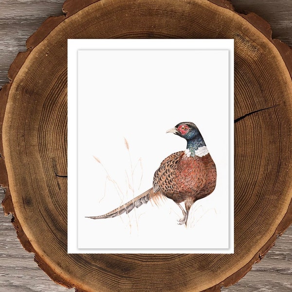 Common Ring-necked Pheasant blank greeting card