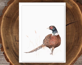 Common Ring-necked Pheasant blank greeting card