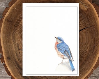 Eastern Bluebird blank greeting card