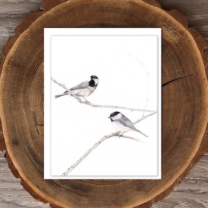 Cartão em branco Carolina Chickadee