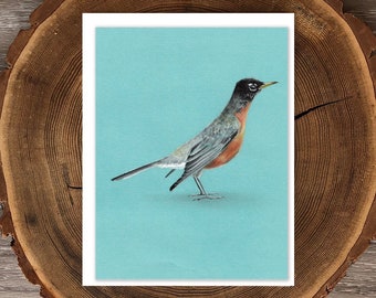 American Robin blank greeting card