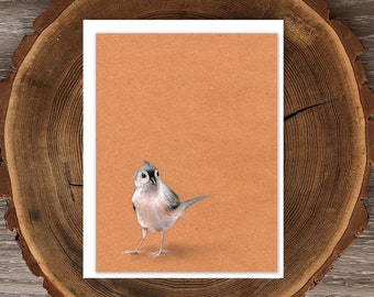 Tufted Titmouse blank greeting card