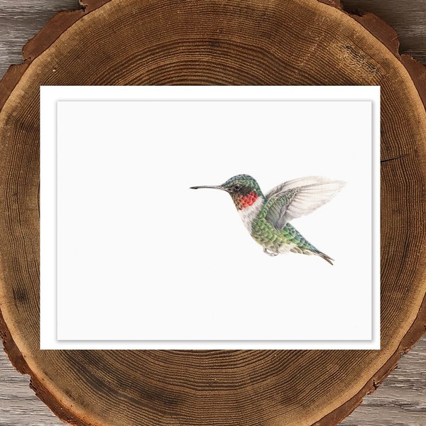 Ruby-throated Hummingbird blank greeting card