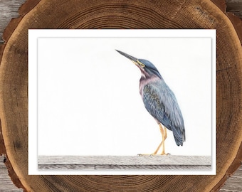 Little Green Heron blank greeting card