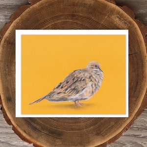 Mourning Dove blank greeting card