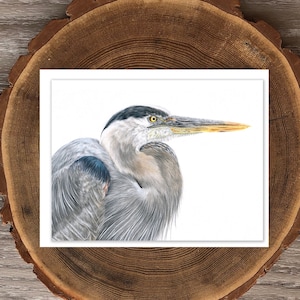 Grote blauwe reiger blanco wenskaart