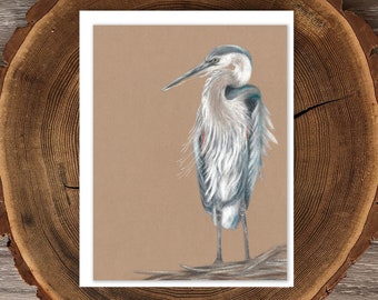 Blauer Reiher Grußkarte