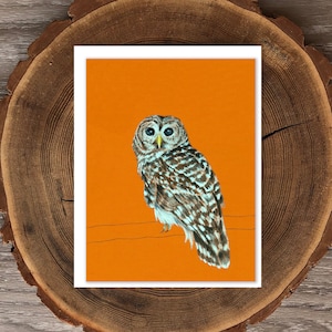 Barred Owl blank greeting card