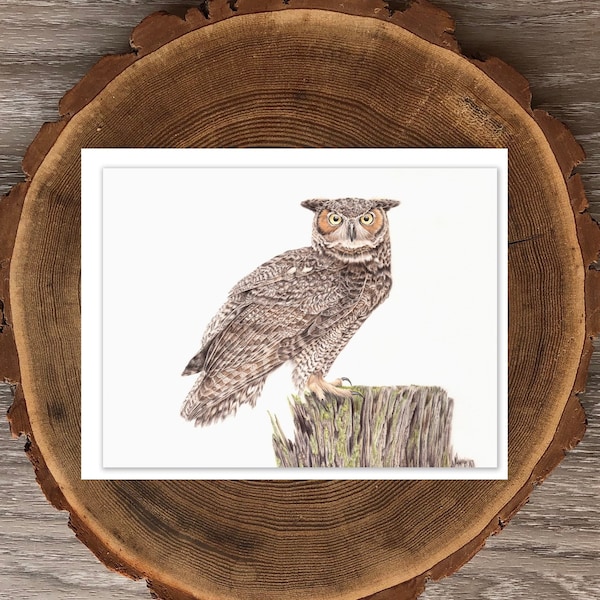 Great Horned Owl blank greeting card