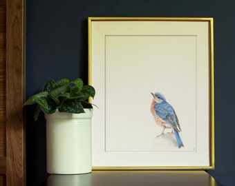 Eastern Bluebird Art Print | Wildlife Backyard Bird Art Print | Outdoor Gift | Garden Bird Watching | Avian Art | Bird Lover