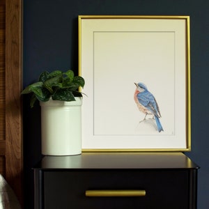 Eastern Bluebird Art Print | Wildlife Backyard Bird Art Print | Outdoor Gift | Garden Bird Watching | Avian Art | Bird Lover