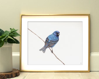 Indigo Bunting Bird Art Print | Wildlife Backyard Bird Art Print | Outdoor Gift | Garden Bird Watching | Avian Art | Bird Lover