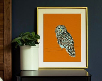 Barred Owl Wildlife Art Print | Outdoor Gift | Owl Art Drawing Decor | Owl Nursery Wall Art | Raptor Bird of Prey Art | Owl Lover Gift