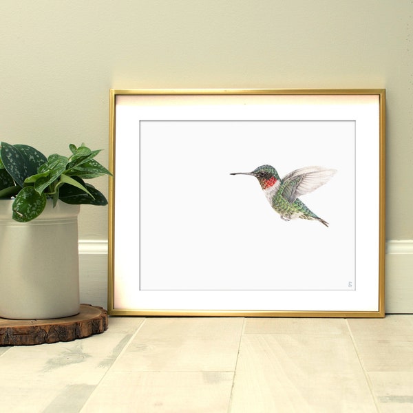 Rubinkehlkolibri | Wildtiere Kunstdruck | Outdoor Geschenk | Garten Vogelbeobachtung | Vogel Liebhaber Dekor | Kolibri Kunst Zeichnung | Kinderzimmer