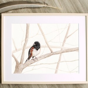Towhee on sale wildbird sling